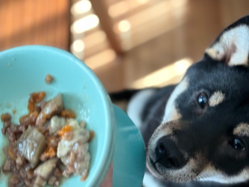 今年もよろしくお願いします