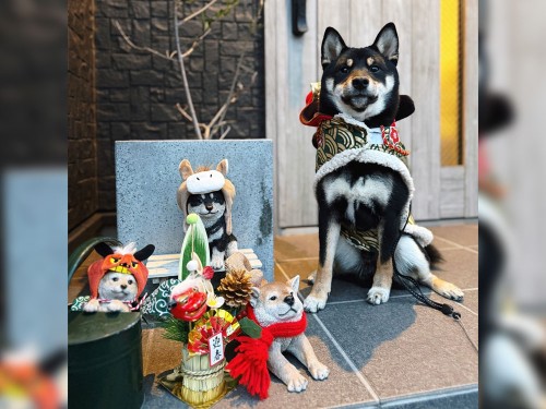 今年もよろしくお願いします