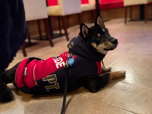 リラックスしすぎ