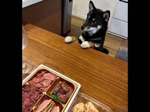 なんかいい匂いがするぞ！