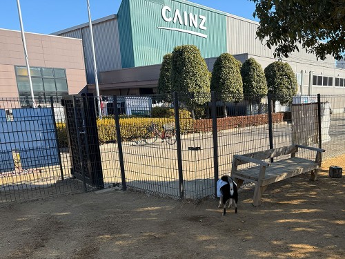 カインズのドッグラン