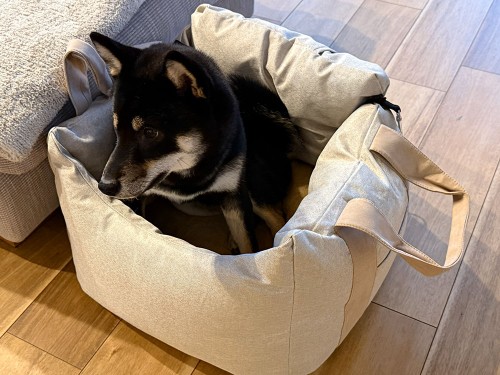 ドライブボックス（ベッド）を購入！