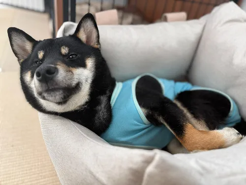 歯磨きガムで不意打ちスマイル！