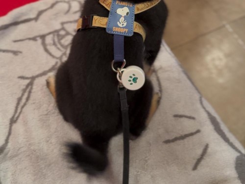 人が好きすぎる